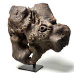 Tree Root Mask - Nepal (Zonder Minimumprijs)
