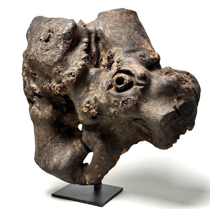 Tree Root Mask - Nepal (Zonder Minimumprijs), Antiek en Kunst, Kunst | Niet-Westerse kunst