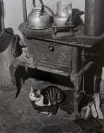 Willy Ronis (1910-2009) - Chat au poële, Paris, 1947, Collections