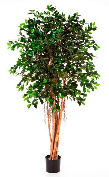 Kunstplant Ficus Retusa 210 cm, Maison & Meubles, Plantes d'intérieur, Envoi