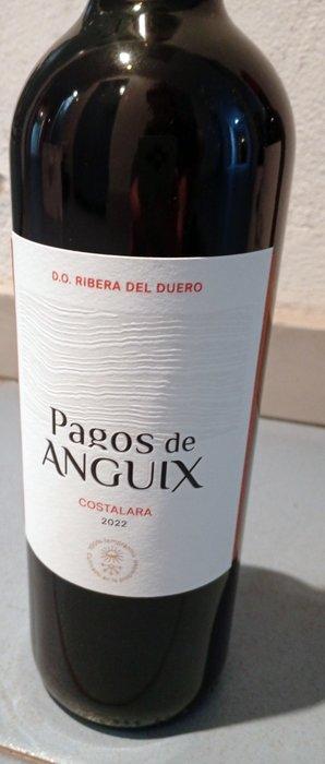Pagos de Anguix Costalara 2022, Tierras de Cair 2019, Cruz, Verzamelen, Wijnen