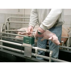 Coupe-queue avec transformateur inclus cale, Articles professionnels, Agriculture | Aliments pour bétail