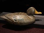 Lokeend - Anatra ca. 1920–1940 Hollandse Wilde Eend