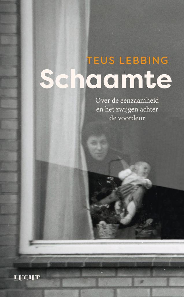 Schaamte 9789493272859 Teus Lebbing, Boeken, Psychologie, Gelezen, Verzenden