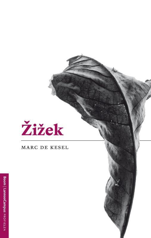 Zizek / Profielen 9789077598030 Marc De Kesel, Boeken, Filosofie, Gelezen, Verzenden