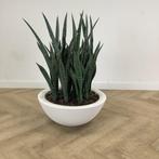 kunst Sanseveria met Elho kunststof plantenbak hoogte 90 cm,, Huis en Inrichting, Kamerplanten