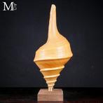 Extrêmement rare - Syrinx Aruanus de taille géante sur socle