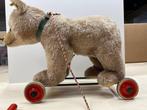 Steiff - Speelgoed Orso su rotelle - 1950-1960 - Duitsland, Antiek en Kunst