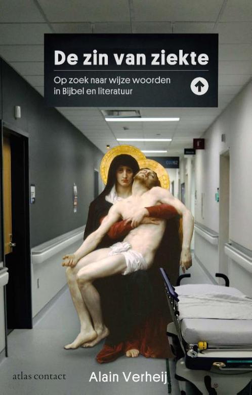 De zin van ziekte 9789045050317 Alain Verheij, Boeken, Overige Boeken, Zo goed als nieuw, Verzenden