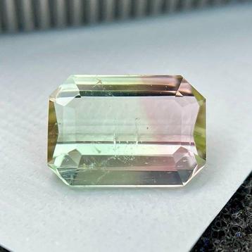 Bicolore, Rose, Vert Tourmaline - 1.36 ct - International beschikbaar voor biedingen