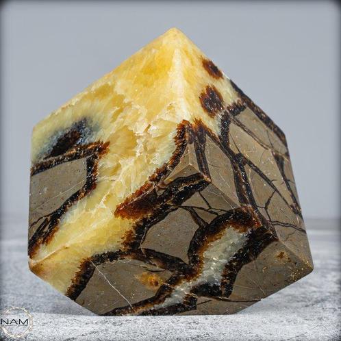 Natuurlijke Massieve Septarien Dobbelstenen uit Madagaskar-, Verzamelen, Mineralen en Fossielen