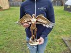 Beeld, Large Steampunk Angel - 33 cm - Hars