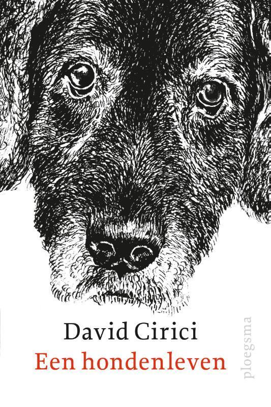 Een hondenleven 9789021677958 David Cirici, Boeken, Kinderboeken | Jeugd | 10 tot 12 jaar, Zo goed als nieuw, Verzenden