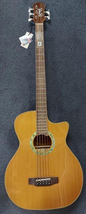 Richwood - - 5-snarige akoestische basgitaar beschikbaar voor biedingen