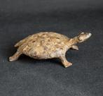 schildpad - Dogon - Mali (Zonder Minimumprijs)