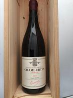 2019 Domaine Trapet Père & Fils Chambertin - Chambertin, Nieuw