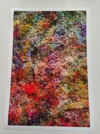 Viet Ha Tran - Wall of Nature XXVIII