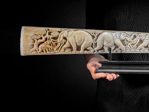 GEEN MINIMALE PRIJS - Een grote hamerhaai-tand met een, Antiek en Kunst, Kunst | Designobjecten