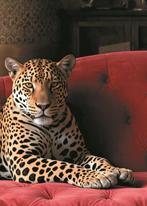 Collectibles & Co. - “The King Of The Sofa” by Collectibles, Huis en Inrichting, Nieuw