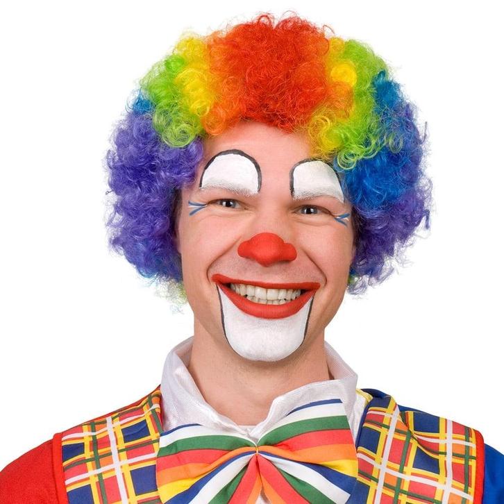 Gekleurde Pruik Krullen Clown, Hobby en Vrije tijd, Feestartikelen, Nieuw, Verzenden