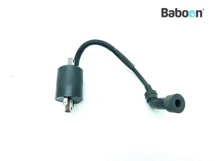 Bobine Yamaha XVS 1100 A Dragstar Classic 2000-2007, Motoren, Onderdelen | Yamaha, Verzenden