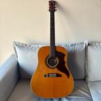 EKO - Ranger VI - - Akoestische gitaar - Italië - 1967, Muziek en Instrumenten, Nieuw