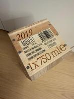 2019 Masseto - Toscane IGT - 1 Fles (0,75 liter), Verzamelen, Wijnen, Nieuw