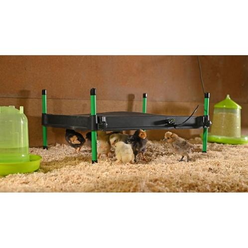 Warmteplaat mini 40x50cm 24v, geintegreerde thermostaat -, Dieren en Toebehoren, Pluimvee | Toebehoren, Nieuw