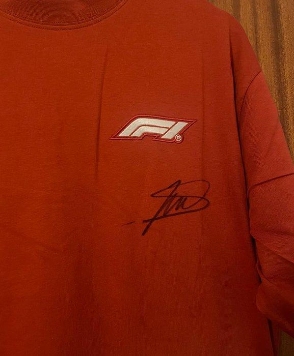 Formule 1 - Formule 1 - Fernando Alonso & Lando Norris -, Collections, Marques automobiles, Motos & Formules 1