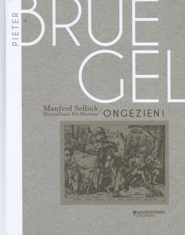 Pieter Bruegel ongezien! 9789058268754 Manfred Sellinck, Boeken, Kunst en Cultuur | Beeldend, Zo goed als nieuw, Verzenden