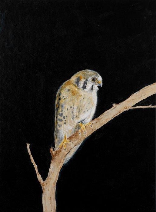 Matthieu van Riel - Bird, Antiek en Kunst, Kunst | Schilderijen | Modern