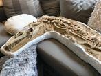 Zeereptiel - Fossiel skelet - Halisaurus - 235 cm