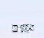 Oorbellen - 18 karaat Witgoud -  0.66ct. tw. Diamant, Nieuw