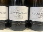 2022 Domaine André Moingeon et Fils La Garenne - Puligny, Nieuw