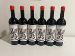 2018 Leonardo Bussoletti Grifo di Narni - Umbrië IGT - 6, Nieuw