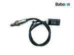 Capteur doxygène BMW R nineT 2020- (K21 20) (8405117), Verzenden, Nieuw