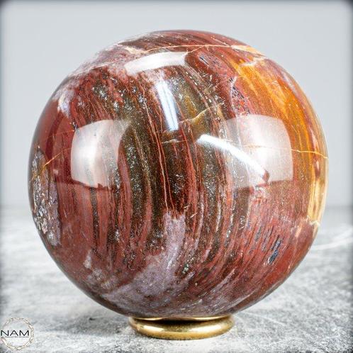 Natuurlijke versteende houten bal van Madagaskar- 606.15 g, Verzamelen, Mineralen en Fossielen