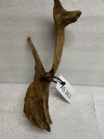 As 363 Fine Sinkingwood 27x14x10 cm aquarium decoratie hout, Verzenden, Plant(en), Steen of Hout