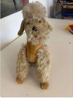 Steiff - Pluche speelgoed Steiff Pudel - 1950-1960 -, Antiek en Kunst