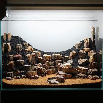 Petrified stone 10-20cm - aquarium decoratie stenen beschikbaar voor biedingen