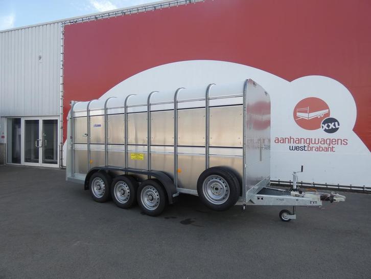Op voorraad! Ifor-Williams Veetrailer tridemas 427x178x183cm, Dieren en Toebehoren, Paarden en Pony's | Trailers en Aanhangwagens