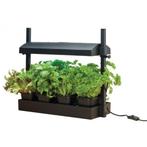 NIEUW - Groeilicht LED met kweekset zwart, Verzenden, Nieuw