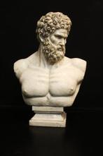sculptuur, Busto di Ercole in marmo - 68 cm - Marmer
