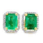 Oorbellen - 18 karaat Geel goud - 3.43ct. tw. Smaragd -, Nieuw