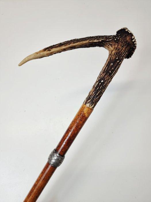 Wandelstok - gewei, hout, Antiek en Kunst, Antiek | Overige Antiek