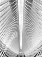 Fabio Accorrà - The white geometries