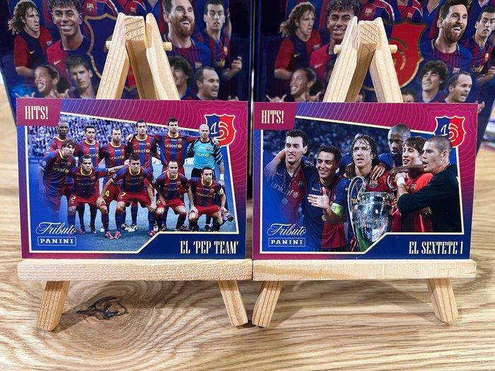 Panini Johan Cruyff, Ronaldinho, Romario Iniesta Koeman, Verzamelen, Stickers