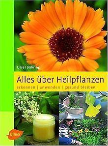 Alles über Heilpflanzen: Erkennen - anwenden - gesu...  Book, Livres, Livres Autre, Envoi