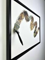 Santicri - Dèjà-vu La Nascita di Venere