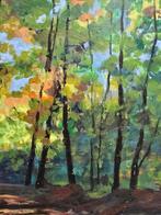 École Catalane (XX) - Lumière entre les arbres - NO RESERVE, Antiek en Kunst